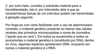 2. por outro lado, constitui o substrato material para a
hereditariedade, isto é, por intermédio dele é que as
características típicas de um indivíduo podem ser transmitidas
à geração seguinte.
Por tinge-se com certa facilidade com o uso de determinados
corantes, o material genético presente no interior das células
recebeu dos primeiros microscopistas o nome de cromatina
(“aquilo que se cora”). Em todos os eucariontes e todos os
procariontes o material genético é constituído por DNA; dentre
os vírus, algumas espécies apresentam DNA, enquanto em
outras o material genético é o RNA.
 