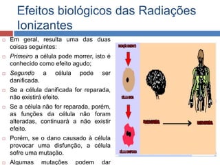 Efeitos biológicos das Radiações
Ionizantes


Em geral, resulta uma das duas
coisas seguintes:



Primeiro a célula pode morrer, isto é
conhecido como efeito agudo;



Segundo a
danificada.



Se a célula danificada for reparada,
não existirá efeito.



Se a célula não for reparada, porém,
as funções da célula não foram
alteradas, continuará a não existir
efeito.



Porém, se o dano causado à célula
provocar uma disfunção, a célula
sofre uma mutação.



Algumas

célula

mutações

pode

podem

ser

dar

 