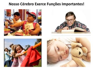 Nosso Cérebro Exerce Funções Importantes!
 