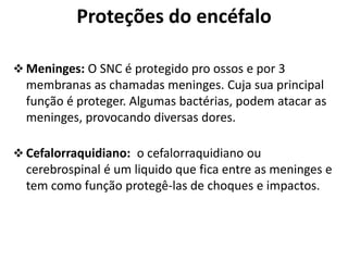 Proteções do encéfalo
 Meninges: O SNC é protegido pro ossos e por 3
membranas as chamadas meninges. Cuja sua principal
função é proteger. Algumas bactérias, podem atacar as
meninges, provocando diversas dores.
 Cefalorraquidiano: o cefalorraquidiano ou
cerebrospinal é um liquido que fica entre as meninges e
tem como função protegê-las de choques e impactos.
 