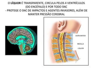 O LÍQUOR É TRANSPARENTE, CIRCULA PELOS 4 VENTRÍCULOS
(DO ENCÉFALO) E POR TODO SNC
- PROTEGE O SNC DE IMPACTOS E AGENTES INVASORES, ALÉM DE
MANTER PRESSÃO CEREBRAL
DURA MATER
MEDULA
LÍQUOR
 