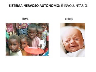 SISTEMA NERVOSO AUTÔNOMO: É INVOLUNTÁRIO
FOME CHORO
 