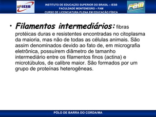 Filamentos intermediários:  fibras protéicas duras e resistentes encontradas no citoplasma da maioria, mas não de todas as células animais. São assim denominados devido ao fato de, em micrografia eletrônica, possuírem diâmetro de tamanho intermediário entre os filamentos finos (actina) e microtúbulos, de calibre maior. São formados por um grupo de proteínas heterogêneas.  