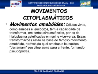 MOVIMENTOS CITOPLASMÁTICOS  Movimentos amebóides:  Células vivas, como amebas e leucócitos, têm a capacidade de transformar, em certas circunstâncias, partes do hialoplasma geleificadas em sol, e vice-versa. Essas transformações estão na base do famoso movimento amebóide, através do qual amebas e leucócitos "derramam" seu citoplasma para a frente, formando pseudópodes.  