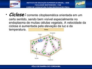 Ciclose:  corrente citoplasmática orientada em um certo sentido, sendo bem visível especialmente no endoplasma de muitas células vegetais. A velocidade da ciclose é aumentada pela elevação da luz e da temperatura.  