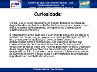 Curiosidade: O REL, que é muito abundante no fígado, também participa da degração (destruição) de substâncias tóxicas para a célula, como o álcool e certos medicamentos, principalmente antibióticos e substâncias anestésicas. É interessante ainda citar que o aumento do consumo do álcool, e também de outras drogas, leva a uma maior proliferação do REL e isso provoca uma "adaptação" do organismo quanto a administração destas substâncias. Isso explica o porque dos consumidores de bebidas alcoólicas ficarem "acostumados" e necessitar de doses cada vez maiores para obter o efeito desejado desta droga. Um dos problemas provocados por esta proliferação exagerada do REL é que além de aumentar a tolerância ao álcool, se aumenta também a resistência à administração de antibióticos importantes no combate das doenças.  