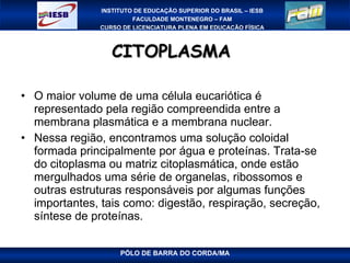 CITOPLASMA  O maior volume de uma célula eucariótica é representado pela região compreendida entre a membrana plasmática e a membrana nuclear.  Nessa região, encontramos uma solução coloidal formada principalmente por água e proteínas. Trata-se do citoplasma ou matriz citoplasmática, onde estão mergulhados uma série de organelas, ribossomos e outras estruturas responsáveis por algumas funções importantes, tais como: digestão, respiração, secreção, síntese de proteínas.  