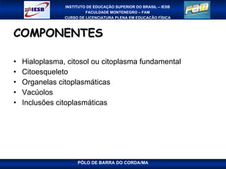 COMPONENTES Hialoplasma, citosol ou citoplasma fundamental Citoesqueleto Organelas citoplasmáticas Vacúolos Inclusões citoplasmáticas 