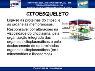 CITOESQUELETO Liga-se às proteínas do citosol e às organelas membranosas. Responsável por alterações na viscosidade do citoplasma, pela organização integrada das organelas citoplasmáticas e pelo deslocamento de determinadas organelas citoplasmáticas (ex.: mitocôndrias e lisossomos). 