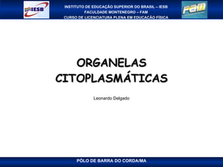 ORGANELAS CITOPLASMÁTICAS Leonardo Delgado 