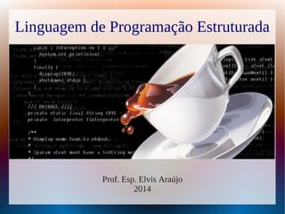 Linguagem de Programação Estruturada 
Prof. Esp. Elvis Araújo 
2014 
 