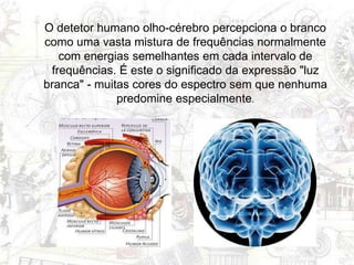 O detetor humano olho-cérebro percepciona o branco
como uma vasta mistura de frequências normalmente
com energias semelhantes em cada intervalo de
frequências. É este o significado da expressão "luz
branca" - muitas cores do espectro sem que nenhuma
predomine especialmente.
 