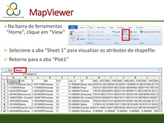 MapViewer
Na barra de ferramentas
“Home”, clique em “View”
 Selecione a aba “Sheet 1” para visualizar os atributos do shapefile.
 Retorne para a aba “Plot1”
 