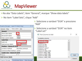 MapViewer
Na aba “Data Labels”, item “General”, marque “Show data labels”
 No item “Label Sets”, clique “Add”
 Selecione a variável “D1N” e pressione
“Add”
 Selecione a variável “D1N” no item
“Label set”
 