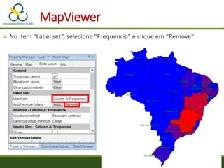 MapViewer
 No item “Label set”, selecione “Frequencia” e clique em “Remove”
 