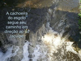 A cachoeira do esgoto segue seu caminho em direção ao rio Jacuípe. 