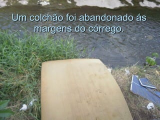 Um colchão foi abandonado ás margens do córrego. 