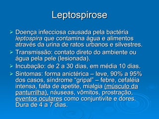 Leptospirose Doença infecciosa causada pela bactéria  leptospira  que contamina água e alimentos através da urina de ratos urbanos e silvestres. Transmissão: contato direto do ambiente ou água pela pele (lesionada). Incubação: de 2 a 30 dias, em média 10 dias. Sintomas: forma anictérica – leve, 90% a 95% dos casos, síndrome “gripal” – febre, cefaléia intensa, falta de apetite, mialgia  (músculo da panturrilha),  náuseas, vômitos, prostração,  eventos oculares  como conjuntivite e dores. Dura de 4 a 7 dias. 