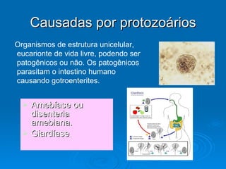 Causadas por protozoários Amebíase ou disenteria amebiana. Giardíase Organismos de estrutura unicelular, eucarionte de vida livre, podendo ser patogênicos ou não. Os patogênicos parasitam o intestino humano causando gotroenterites. 