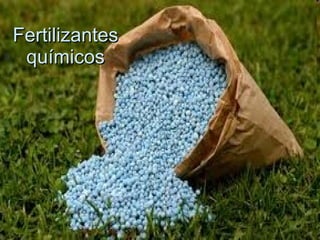 Fertilizantes químicos 