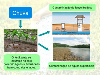 Chuva O fertilizante se  acumula no solo poluindo águas subterrâneas bem como rios e lagos. Contaminação do lençol freático Contaminação de águas superficiais 
