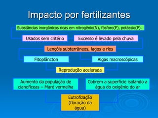 Impacto por fertilizantes Usados sem critério Excesso é levado pela chuva Lençóis subterrâneos, lagos e rios Reprodução acelerada Fitoplâncton Algas macroscópicas Aumento da população de cianofíceas – Maré vermelha Cobrem a superfície isolando a água do oxigênio do ar Eutrofização (floração da água) Substâncias inorgânicas ricas em nitrogênio(N), fósforo(P), potássio(P). 
