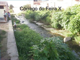Córrego do Feira X 