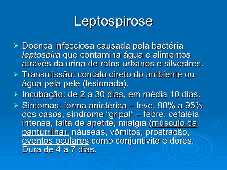 Kcal de luz de lyambliya