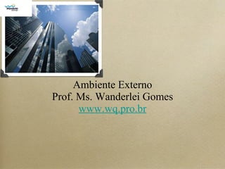 Ambiente Externo Prof. Ms. Wanderlei Gomes www.wq.pro.br 