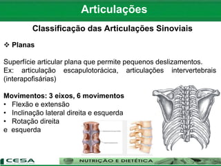 Articulações
Classificação das Articulações Sinoviais
 Planas
Superfície articular plana que permite pequenos deslizamentos.
Ex: articulação escapulotorácica, articulações intervertebrais
(interapofisárias)
Movimentos: 3 eixos, 6 movimentos
• Flexão e extensão
• Inclinação lateral direita e esquerda
• Rotação direita
e esquerda
 