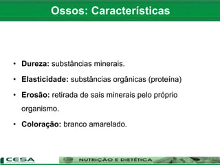 • Dureza: substâncias minerais.
• Elasticidade: substâncias orgânicas (proteína)
• Erosão: retirada de sais minerais pelo próprio
organismo.
• Coloração: branco amarelado.
Ossos: Características
 
