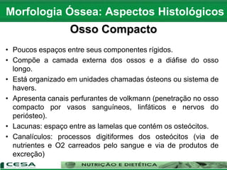 • Poucos espaços entre seus componentes rígidos.
• Compõe a camada externa dos ossos e a diáfise do osso
longo.
• Está organizado em unidades chamadas ósteons ou sistema de
havers.
• Apresenta canais perfurantes de volkmann (penetração no osso
compacto por vasos sanguíneos, linfáticos e nervos do
periósteo).
• Lacunas: espaço entre as lamelas que contém os osteócitos.
• Canalículos: processos digitiformes dos osteócitos (via de
nutrientes e O2 carreados pelo sangue e via de produtos de
excreção)
Morfologia Óssea: Aspectos Histológicos
Osso Compacto
 