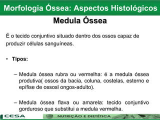 Medula Óssea
É o tecido conjuntivo situado dentro dos ossos capaz de
produzir células sanguíneas.
• Tipos:
– Medula óssea rubra ou vermelha: é a medula óssea
produtiva( ossos da bacia, coluna, costelas, esterno e
epífise de ossosl ongos-adulto).
– Medula óssea flava ou amarela: tecido conjuntivo
gorduroso que substitui a medula vermelha.
Morfologia Óssea: Aspectos Histológicos
 