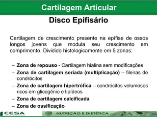 Disco Epifisário
Cartilagem de crescimento presente na epífise de ossos
longos jovens que modula seu crescimento em
comprimento. Dividido histologicamente em 5 zonas:
– Zona de repouso - Cartilagem hialina sem modificações
– Zona de cartilagem seriada (multiplicação) – fileiras de
condrócitos
– Zona de cartilagem hipertrófica – condrócitos volumosos
ricos em glicogênio e lipídeos
– Zona de cartilagem calcificada
– Zona de ossificação
Cartilagem Articular
 