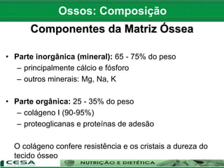 Componentes da Matriz Óssea
• Parte inorgânica (mineral): 65 - 75% do peso
– principalmente cálcio e fósforo
– outros minerais: Mg, Na, K
• Parte orgânica: 25 - 35% do peso
– colágeno I (90-95%)
– proteoglicanas e proteínas de adesão
O colágeno confere resistência e os cristais a dureza do
tecido ósseo
Ossos: Composição
 