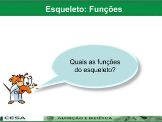 Esqueleto: Funções
Quais as funções
do esqueleto?
 