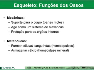 • Mecânicas:
– Suporte para o corpo (partes moles)
– Age como um sistema de alavancas
– Proteção para os órgãos internos
• Metabólicas:
– Formar células sanguíneas (hematopoiese)
– Armazenar cálcio (homeostase mineral)
Esqueleto: Funções dos Ossos
 