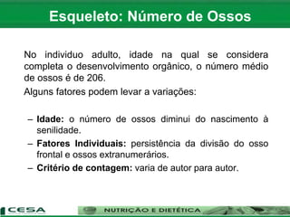 No individuo adulto, idade na qual se considera
completa o desenvolvimento orgânico, o número médio
de ossos é de 206.
Alguns fatores podem levar a variações:
– Idade: o número de ossos diminui do nascimento à
senilidade.
– Fatores Individuais: persistência da divisão do osso
frontal e ossos extranumerários.
– Critério de contagem: varia de autor para autor.
Esqueleto: Número de Ossos
 
