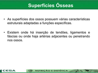 • As superfícies dos ossos possuem várias características
estruturais adaptadas a funções específicas.
• Existem onde há inserção de tendões, ligamentos e
fáscias ou onde haja artérias adjacentes ou penetrando
nos ossos.
Superfícies Ósseas
 