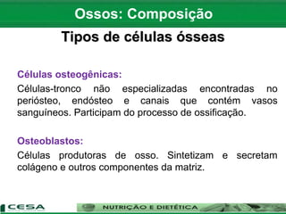 Tipos de células ósseas
Células osteogênicas:
Células-tronco não especializadas encontradas no
periósteo, endósteo e canais que contém vasos
sanguíneos. Participam do processo de ossificação.
Osteoblastos:
Células produtoras de osso. Sintetizam e secretam
colágeno e outros componentes da matriz.
Ossos: Composição
 