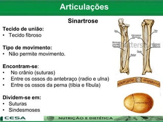 Articulações
Sinartrose
Tecido de união:
• Tecido fibroso
Tipo de movimento:
• Não permite movimento.
Encontram-se:
• No crânio (suturas)
• Entre os ossos do antebraço (radio e ulna)
• Entre os ossos da perna (tíbia e fíbula)
Dividem-se em:
• Suturas
• Sindesmoses
 