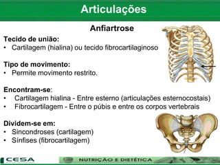 Articulações
Anfiartrose
Tecido de união:
• Cartilagem (hialina) ou tecido fibrocartilaginoso
Tipo de movimento:
• Permite movimento restrito.
Encontram-se:
• Cartilagem hialina - Entre esterno (articulações esternocostais)
• Fibrocartilagem - Entre o púbis e entre os corpos vertebrais
Dividem-se em:
• Sincondroses (cartilagem)
• Sínfises (fibrocartilagem)
 