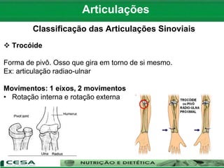 Articulações
Classificação das Articulações Sinoviais
 Trocóide
Forma de pivô. Osso que gira em torno de si mesmo.
Ex: articulação radiao-ulnar
Movimentos: 1 eixos, 2 movimentos
• Rotação interna e rotação externa
 