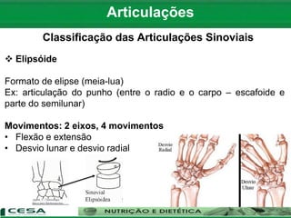 Articulações
Classificação das Articulações Sinoviais
 Elipsóide
Formato de elipse (meia-lua)
Ex: articulação do punho (entre o radio e o carpo – escafoide e
parte do semilunar)
Movimentos: 2 eixos, 4 movimentos
• Flexão e extensão
• Desvio lunar e desvio radial
 