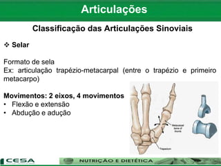 Articulações
Classificação das Articulações Sinoviais
 Selar
Formato de sela
Ex: articulação trapézio-metacarpal (entre o trapézio e primeiro
metacarpo)
Movimentos: 2 eixos, 4 movimentos
• Flexão e extensão
• Abdução e adução
 