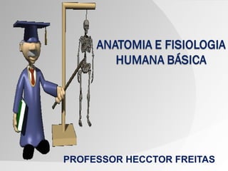 PROFESSOR HECCTOR FREITAS
 