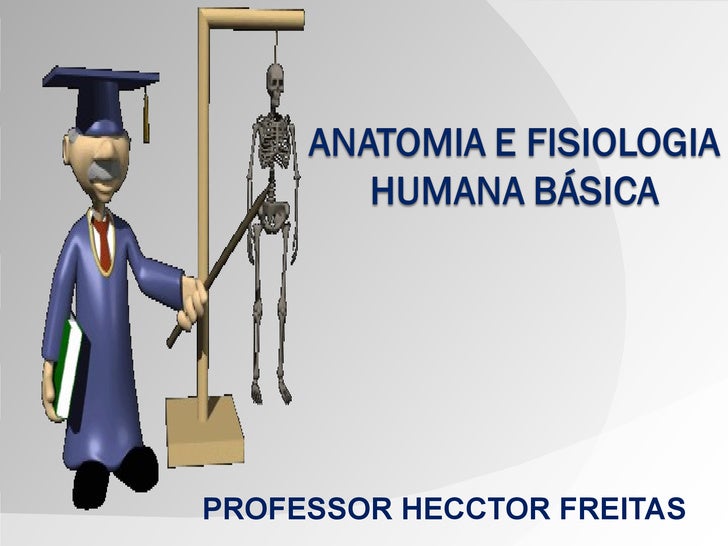 Introdução a anatomia e fisiologia humana