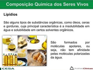 Lipídios
São alguns tipos de substâncias orgânicas, como óleos, ceras
e gorduras, cuja principal característica é a insolubilidade em
água e solubilidade em certos solventes orgânicos.
São formados por
moléculas apolares, ou
seja, não tem afinidade
pelas moléculas polarizadas
da água.
 