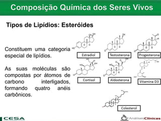 Constituem uma categoria
especial de lipídios.
As suas moléculas são
compostas por átomos de
carbono interligados,
formando quatro anéis
carbônicos.
Tipos de Lipídios: Esteróides
 