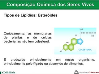 Curiosamente, as membranas
de plantas e de células
bacterianas não tem colesterol.
Tipos de Lipídios: Esteróides
É produzido principalmente em nosso organismo,
principalmente pelo fígado ou absorvido de alimentos.
 